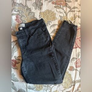 universal thread pants